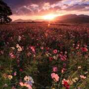 ヒメ日記 2025/02/01 07:16 投稿 寺島まひる ABC 岩手ソープ