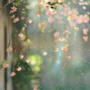 ヒメ日記 2025/02/01 17:46 投稿 寺島まひる ABC 岩手ソープ