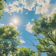 ヒメ日記 2025/02/09 05:16 投稿 寺島まひる ABC 岩手ソープ