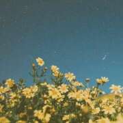 ヒメ日記 2025/02/10 22:01 投稿 寺島まひる ABC 岩手ソープ