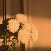 ヒメ日記 2025/02/12 22:31 投稿 寺島まひる ABC 岩手ソープ