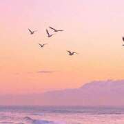 ヒメ日記 2025/02/21 06:46 投稿 寺島まひる ABC 岩手ソープ