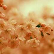 ヒメ日記 2025/02/21 22:01 投稿 寺島まひる ABC 岩手ソープ