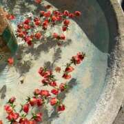 ヒメ日記 2025/03/05 23:16 投稿 寺島まひる ABC 岩手ソープ