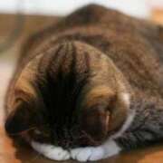 ヒメ日記 2025/03/07 08:16 投稿 寺島まひる ABC 岩手ソープ