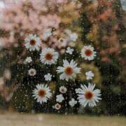 ヒメ日記 2025/04/11 08:01 投稿 寺島まひる ABC 岩手ソープ