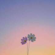 ヒメ日記 2025/04/11 22:31 投稿 寺島まひる ABC 岩手ソープ