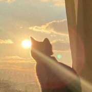 ヒメ日記 2025/04/21 06:31 投稿 寺島まひる ABC 岩手ソープ