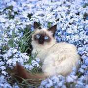 ヒメ日記 2025/04/23 06:31 投稿 寺島まひる ABC 岩手ソープ