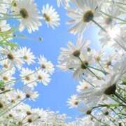 ヒメ日記 2025/05/04 06:01 投稿 寺島まひる ABC 岩手ソープ