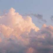 ヒメ日記 2025/05/14 07:01 投稿 寺島まひる ABC 岩手ソープ