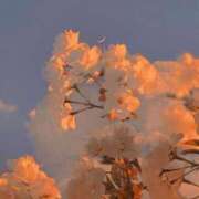 ヒメ日記 2025/05/14 22:01 投稿 寺島まひる ABC 岩手ソープ