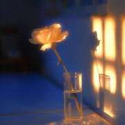 ヒメ日記 2025/05/16 00:31 投稿 寺島まひる ABC 岩手ソープ