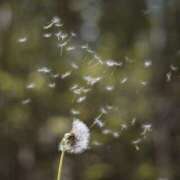 ヒメ日記 2025/05/16 07:01 投稿 寺島まひる ABC 岩手ソープ