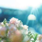 ヒメ日記 2025/05/23 07:16 投稿 寺島まひる ABC 岩手ソープ