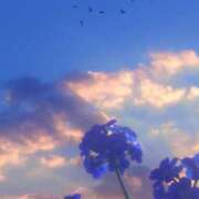 ヒメ日記 2025/05/30 06:46 投稿 寺島まひる ABC 岩手ソープ