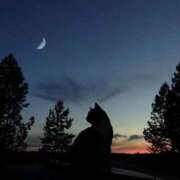 ヒメ日記 2025/05/30 21:46 投稿 寺島まひる ABC 岩手ソープ