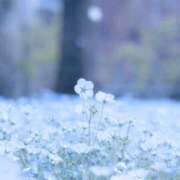 ヒメ日記 2025/06/01 07:31 投稿 寺島まひる ABC 岩手ソープ