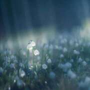 ヒメ日記 2025/06/03 01:16 投稿 寺島まひる ABC 岩手ソープ