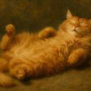 ヒメ日記 2025/06/11 01:31 投稿 寺島まひる ABC 岩手ソープ