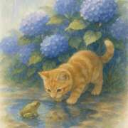 ヒメ日記 2025/06/12 00:31 投稿 寺島まひる ABC 岩手ソープ