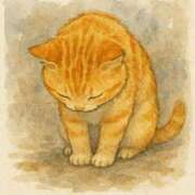 ヒメ日記 2025/06/26 17:01 投稿 寺島まひる ABC 岩手ソープ