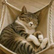 ヒメ日記 2025/07/06 00:31 投稿 寺島まひる ABC 岩手ソープ