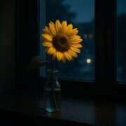 ヒメ日記 2025/08/05 03:31 投稿 寺島まひる ABC 岩手ソープ