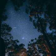 ヒメ日記 2025/08/31 00:31 投稿 寺島まひる ABC 岩手ソープ