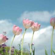 ヒメ日記 2025/09/10 15:16 投稿 寺島まひる ABC 岩手ソープ