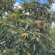 ヒメ日記 2025/10/06 09:02 投稿 沢村　まゆ ホットポイント パート2