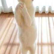 ヒメ日記 2025/12/20 20:06 投稿 沢村　まゆ ホットポイント パート2