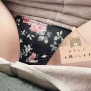 ヒメ日記 2025/03/19 08:30 投稿 ゆま 素人妻達☆マイふぇらレディー