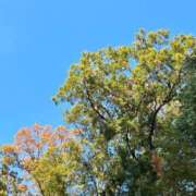 ヒメ日記 2024/12/09 08:39 投稿 ふみ サンキュー町田・相模原店