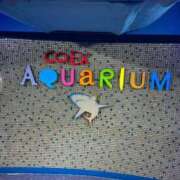 ヒメ日記 2025/02/28 03:46 投稿 しいな★SS級爆乳IカップJD 渋谷S級素人清楚系デリヘル chloe