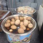 ヒメ日記 2025/02/28 03:36 投稿 しいな★SS級爆乳IカップJD S級素人清楚系デリヘル chloe