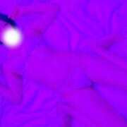 ヒメ日記 2024/12/16 23:58 投稿 うさぎ 舐めたくてグループ～君とサプライズ学園～越谷校