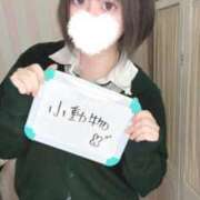 ヒメ日記 2025/06/15 23:08 投稿 うさぎ 舐めたくてグループ～君とサプライズ学園～越谷校