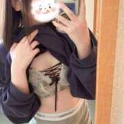 ヒメ日記 2025/12/31 16:15 投稿 うさぎ 舐めたくてグループ～君とサプライズ学園～越谷校