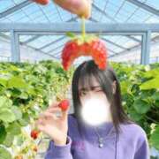 ヒメ日記 2026/05/23 00:25 投稿 うさぎ 舐めたくてグループ～君とサプライズ学園～越谷校