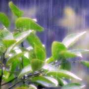 ヒメ日記 2025/03/05 17:59 投稿 みさき ギン妻パラダイス 十三店