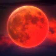 ヒメ日記 2025/03/14 00:12 投稿 みさき ギン妻パラダイス 十三店