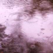 ヒメ日記 2025/04/03 01:14 投稿 みさき ギン妻パラダイス 十三店