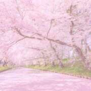 ヒメ日記 2025/04/05 12:12 投稿 みさき ギン妻パラダイス 十三店