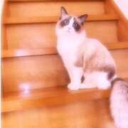 ヒメ日記 2025/04/12 23:34 投稿 みさき ギン妻パラダイス 十三店