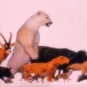 ヒメ日記 2025/04/13 23:42 投稿 みさき ギン妻パラダイス 十三店