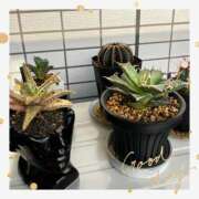 ヒメ日記 2025/05/20 10:26 投稿 ユリア ウルトラブレイズ