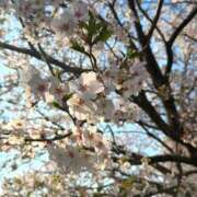 ヒメ日記 2025/04/09 20:43 投稿 さあや若奥 未熟な若奥