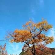 ヒメ日記 2025/11/24 11:07 投稿 さあや若奥 未熟な若奥