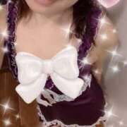 ヒメ日記 2026/01/31 23:16 投稿 加藤 Anemone（アネモネ）